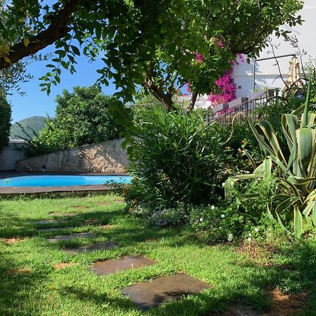 בורגטו סנטו ספיריטו Villa Pineland מראה חיצוני תמונה