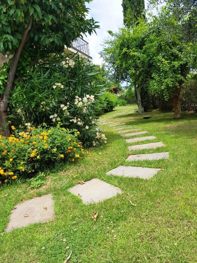 בורגטו סנטו ספיריטו Villa Pineland מראה חיצוני תמונה
